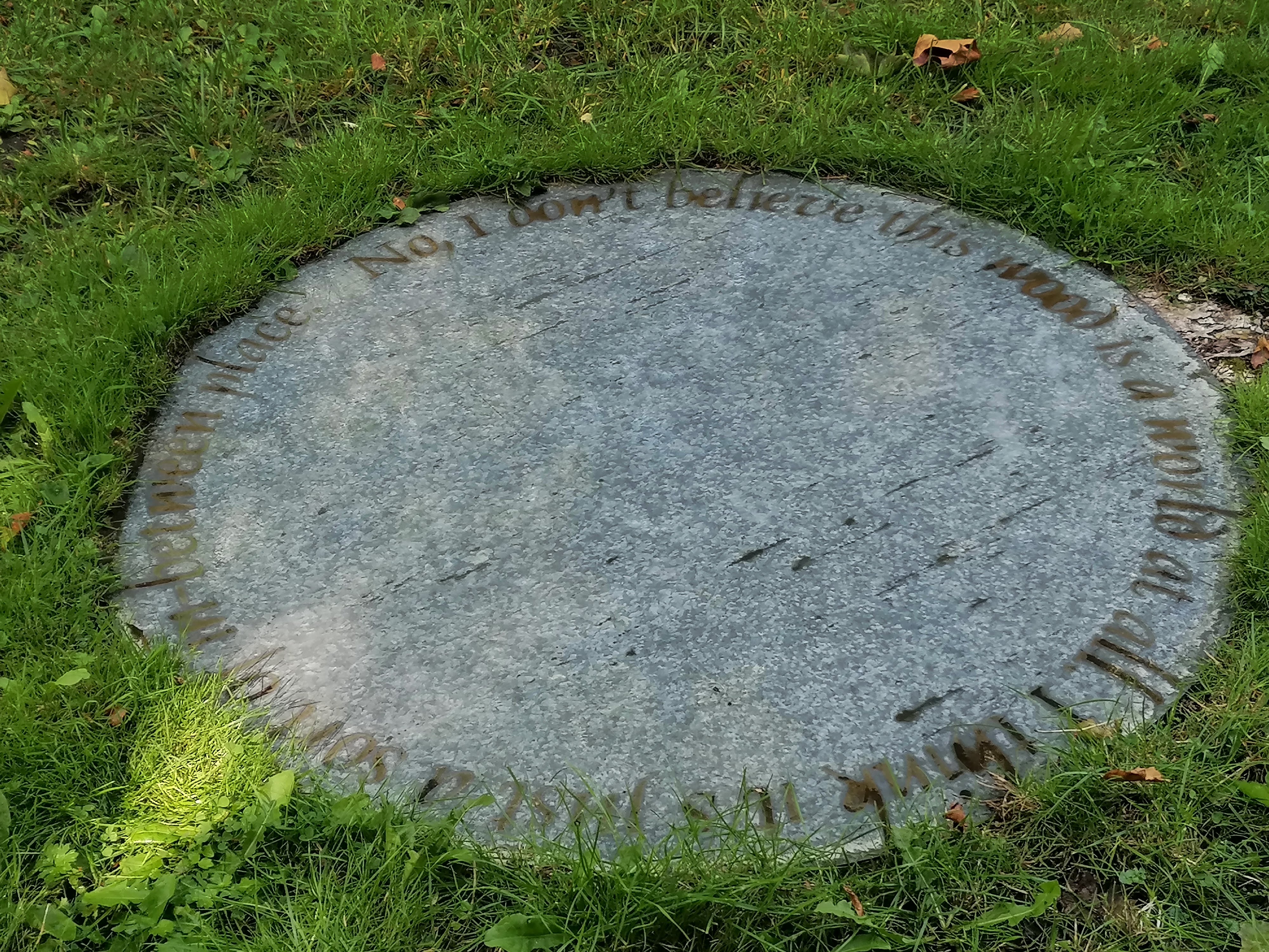 Metaphor disc detail